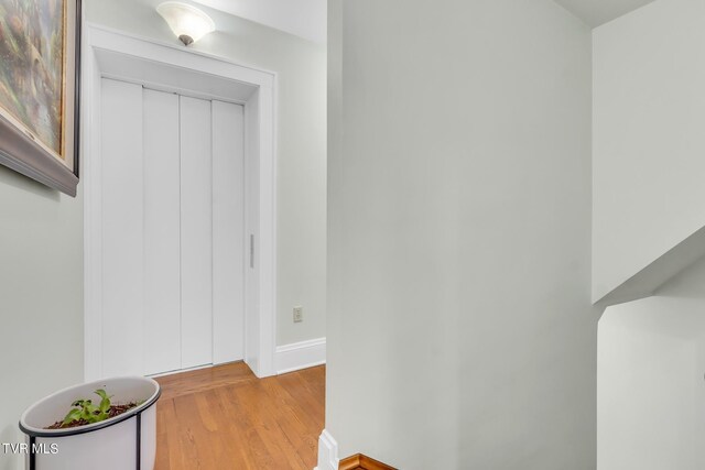 308 E Pearl Ave, Big Stone Gap, VA 24219 - hallway featuring light wood finished floors and baseboards