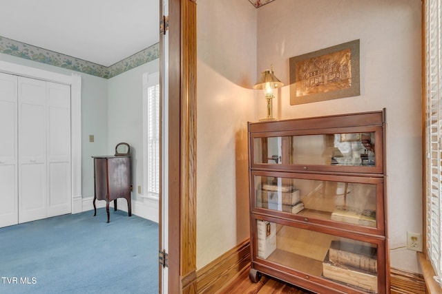 hallway featuring a healthy amount of sunlight and carpet floors