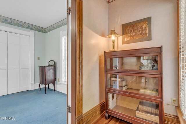 308 E Pearl Ave, Big Stone Gap, VA 24219 - corridor featuring baseboards and carpet