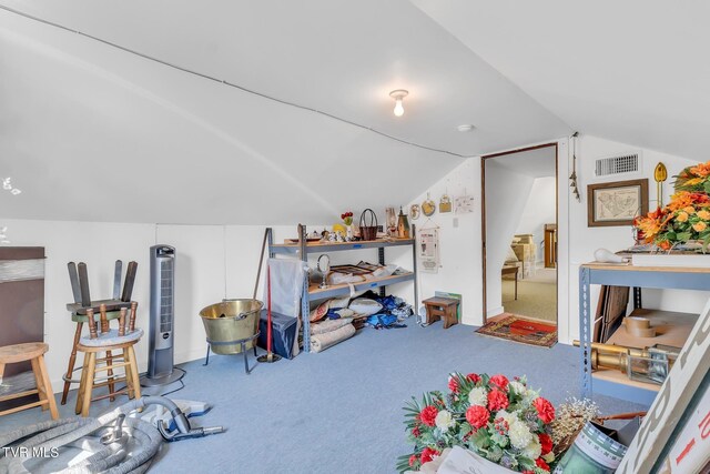 308 E Pearl Ave, Big Stone Gap, VA 24219 - bonus room featuring carpet floors and lofted ceiling
