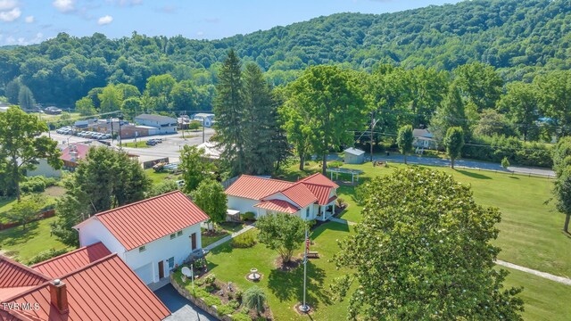 308 E Pearl Ave, Big Stone Gap, VA 24219 - drone / aerial view of a heavily wooded area