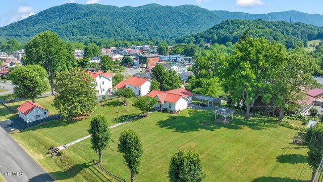 308 E Pearl Ave, Big Stone Gap, VA 24219 - aerial view of a mountain backdrop and a forest
