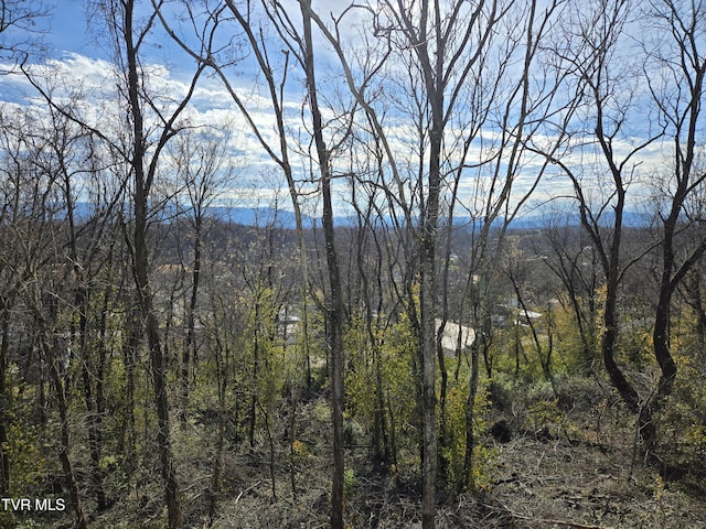 view of mountain feature