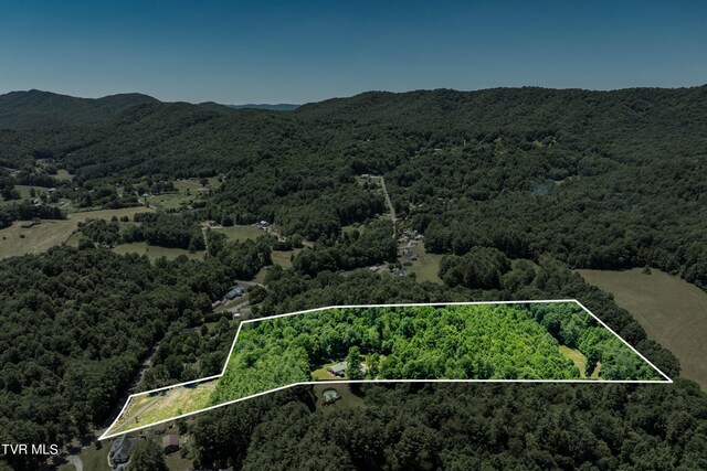 542 Rainbow Rd, Mountain City, TN 37683 - photo 75