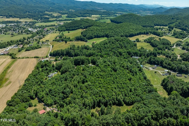 bird's eye view with a mountain view