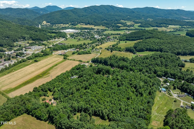 bird's eye view featuring a mountain view