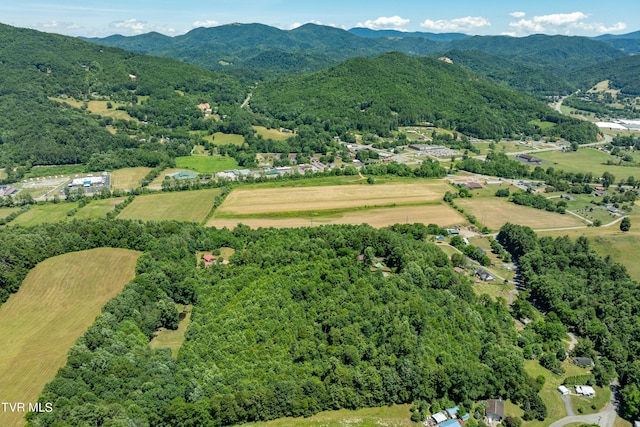 bird's eye view featuring a mountain view