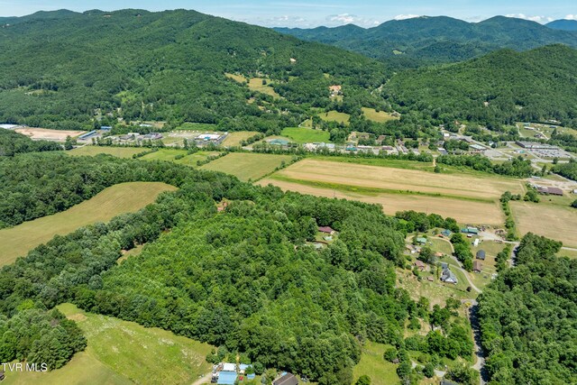 542 Rainbow Rd, Mountain City, TN 37683 - photo 84