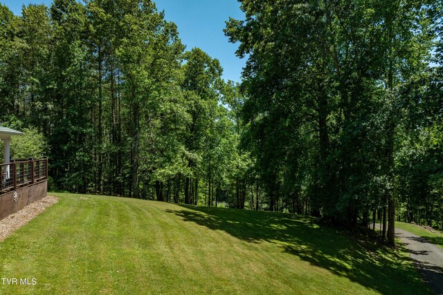542 Rainbow Rd, Mountain City, TN 37683 - photo 6