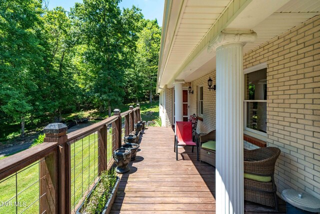 542 Rainbow Rd, Mountain City, TN 37683 - photo 25