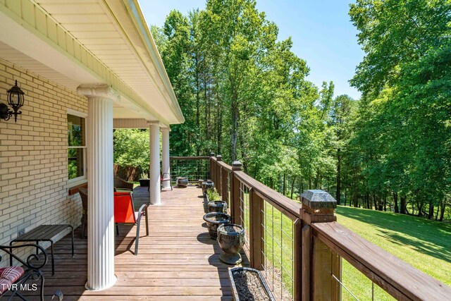 542 Rainbow Rd, Mountain City, TN 37683 - photo 27