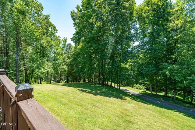 542 Rainbow Rd, Mountain City, TN 37683 - photo 28