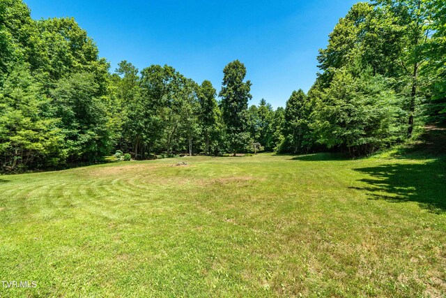 542 Rainbow Rd, Mountain City, TN 37683 - photo 31