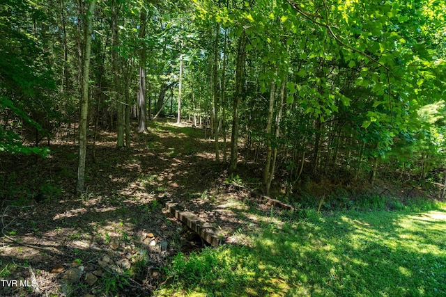 view of local wilderness