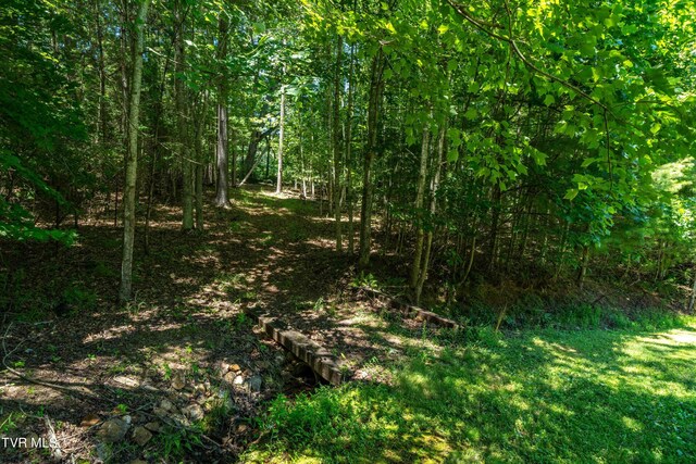 542 Rainbow Rd, Mountain City, TN 37683 - photo 32