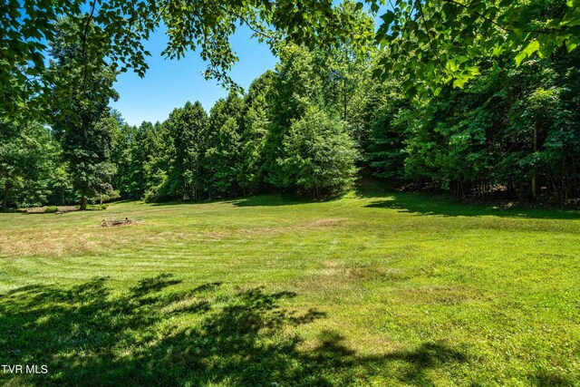542 Rainbow Rd, Mountain City, TN 37683 - photo 33