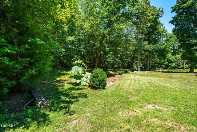 542 Rainbow Rd, Mountain City, TN 37683 - photo 34