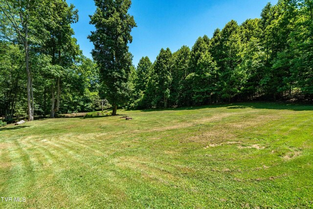 542 Rainbow Rd, Mountain City, TN 37683 - photo 35