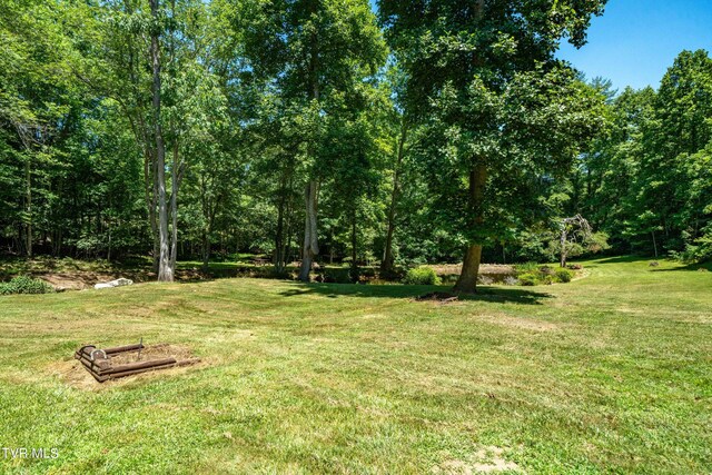542 Rainbow Rd, Mountain City, TN 37683 - photo 36