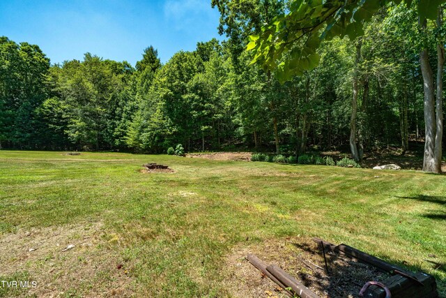 542 Rainbow Rd, Mountain City, TN 37683 - photo 37
