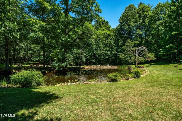 542 Rainbow Rd, Mountain City, TN 37683 - photo 38
