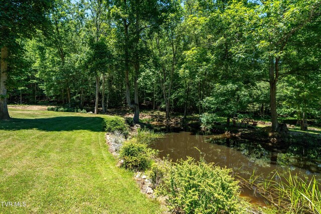 542 Rainbow Rd, Mountain City, TN 37683 - photo 39