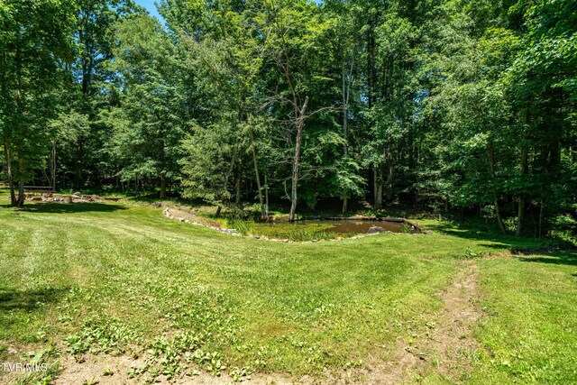 542 Rainbow Rd, Mountain City, TN 37683 - photo 40