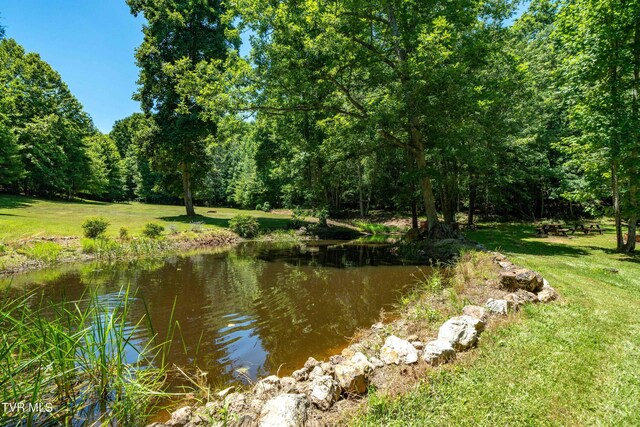 542 Rainbow Rd, Mountain City, TN 37683 - photo 41