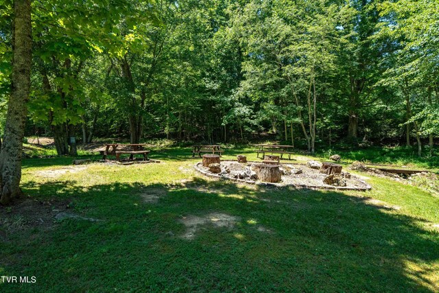 542 Rainbow Rd, Mountain City, TN 37683 - photo 42