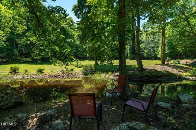 542 Rainbow Rd, Mountain City, TN 37683 - photo 43
