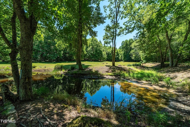 view of water feature