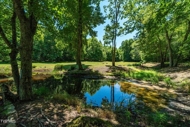 542 Rainbow Rd, Mountain City, TN 37683 - photo 44