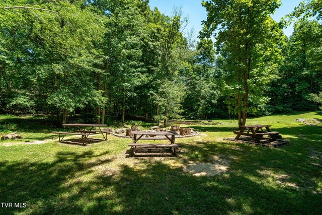 542 Rainbow Rd, Mountain City, TN 37683 - photo 45