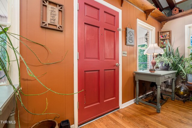 542 Rainbow Rd, Mountain City, TN 37683 - photo 46