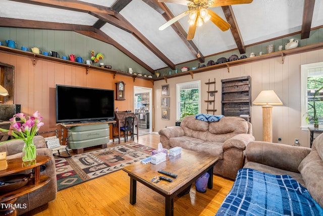 living room with wood walls, ceiling fan, light hardwood / wood-style floors, and a wealth of natural light