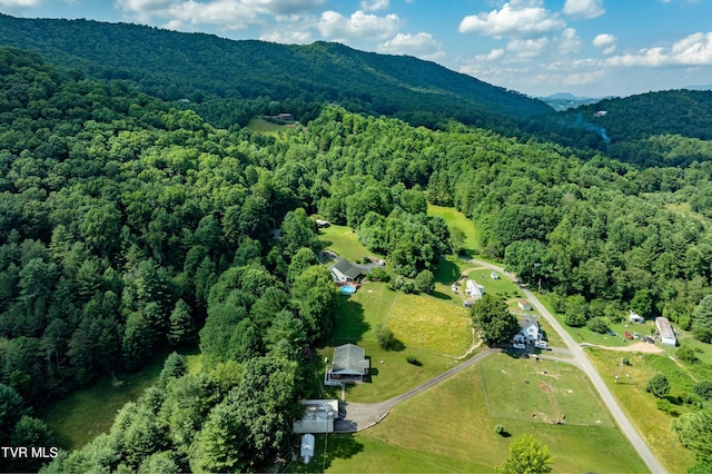 bird's eye view featuring a mountain view