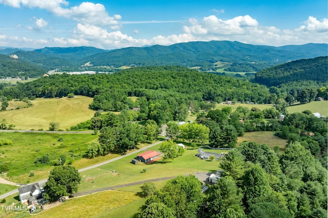 birds eye view of property featuring a mountain view