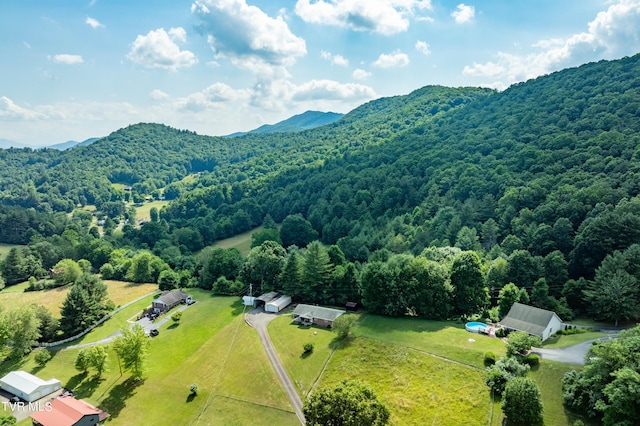 birds eye view of property featuring a mountain view