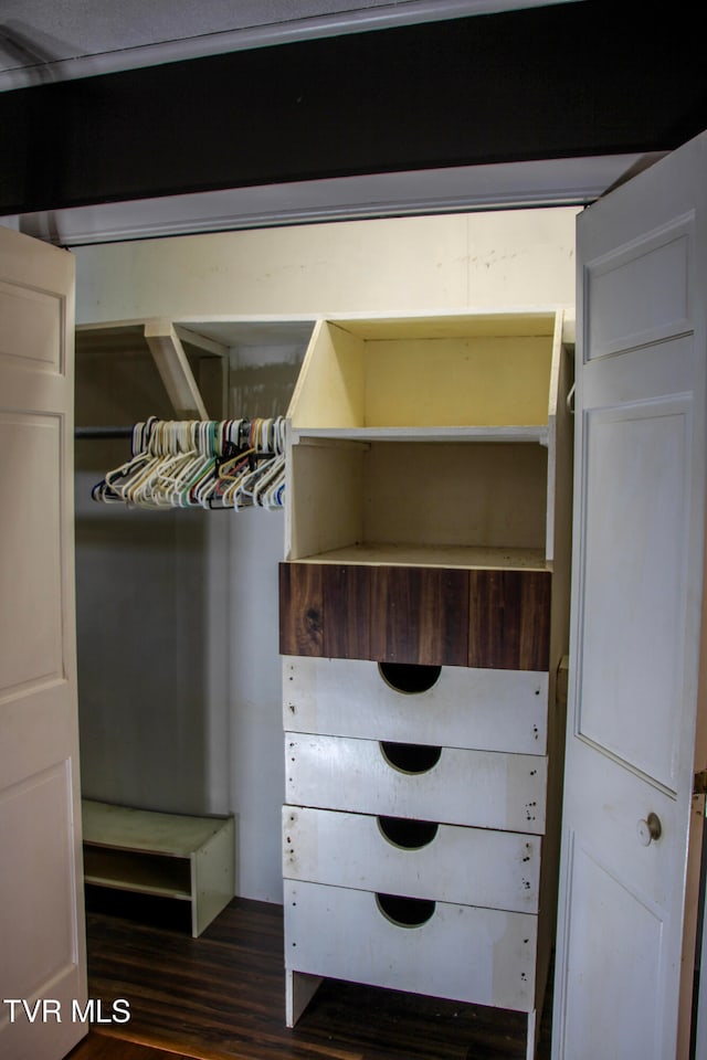 view of closet