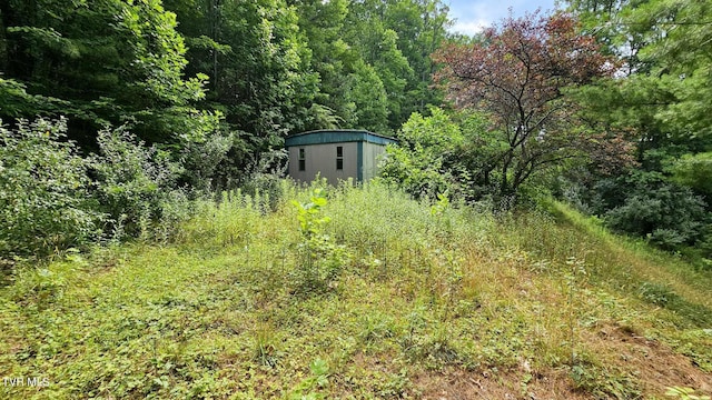 view of yard featuring a shed