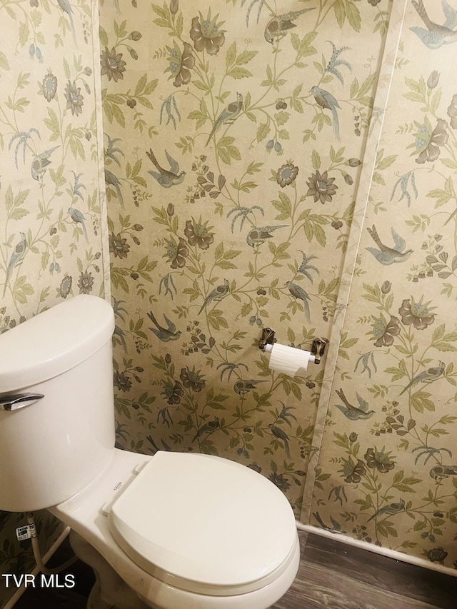 bathroom with wood-type flooring and toilet