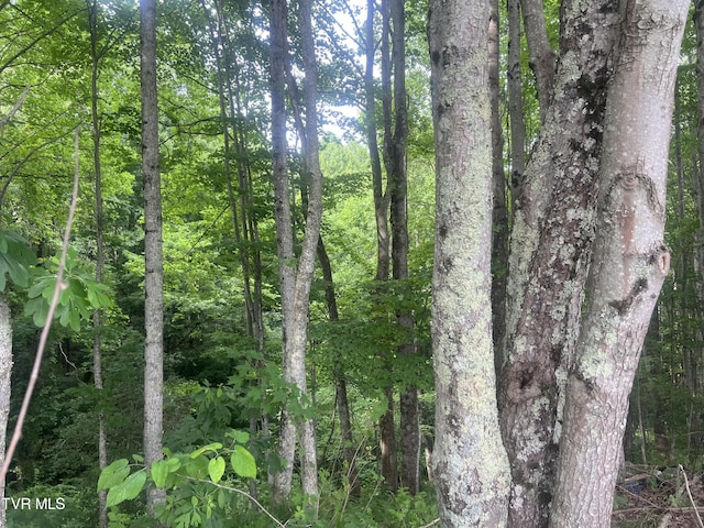 view of landscape