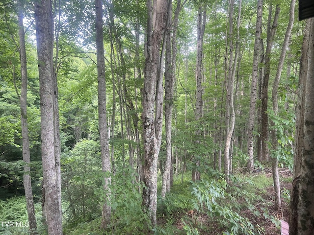 view of local wilderness