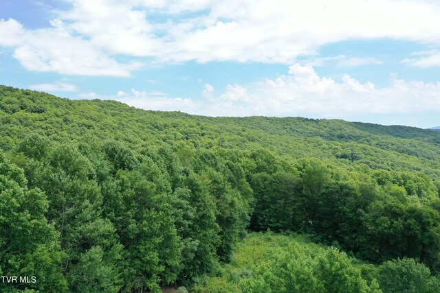 view of mountain feature