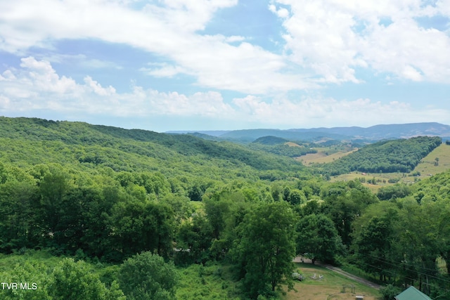 view of mountain feature