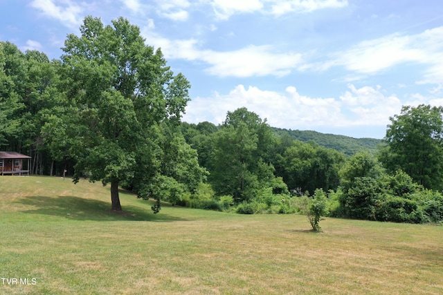 property view of mountains