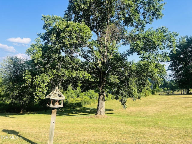 surrounding community featuring a yard