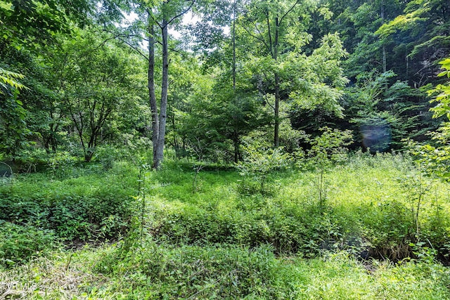 LOT9 Lone Star Rd, Bristol VA, 24202 land for sale