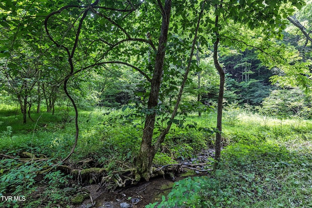 LOT9 Lone Star Rd, Bristol, VA 24202 - photo 2