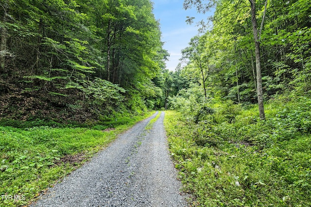 Listing photo 3 for LOT9 Lone Star Rd, Bristol VA 24202